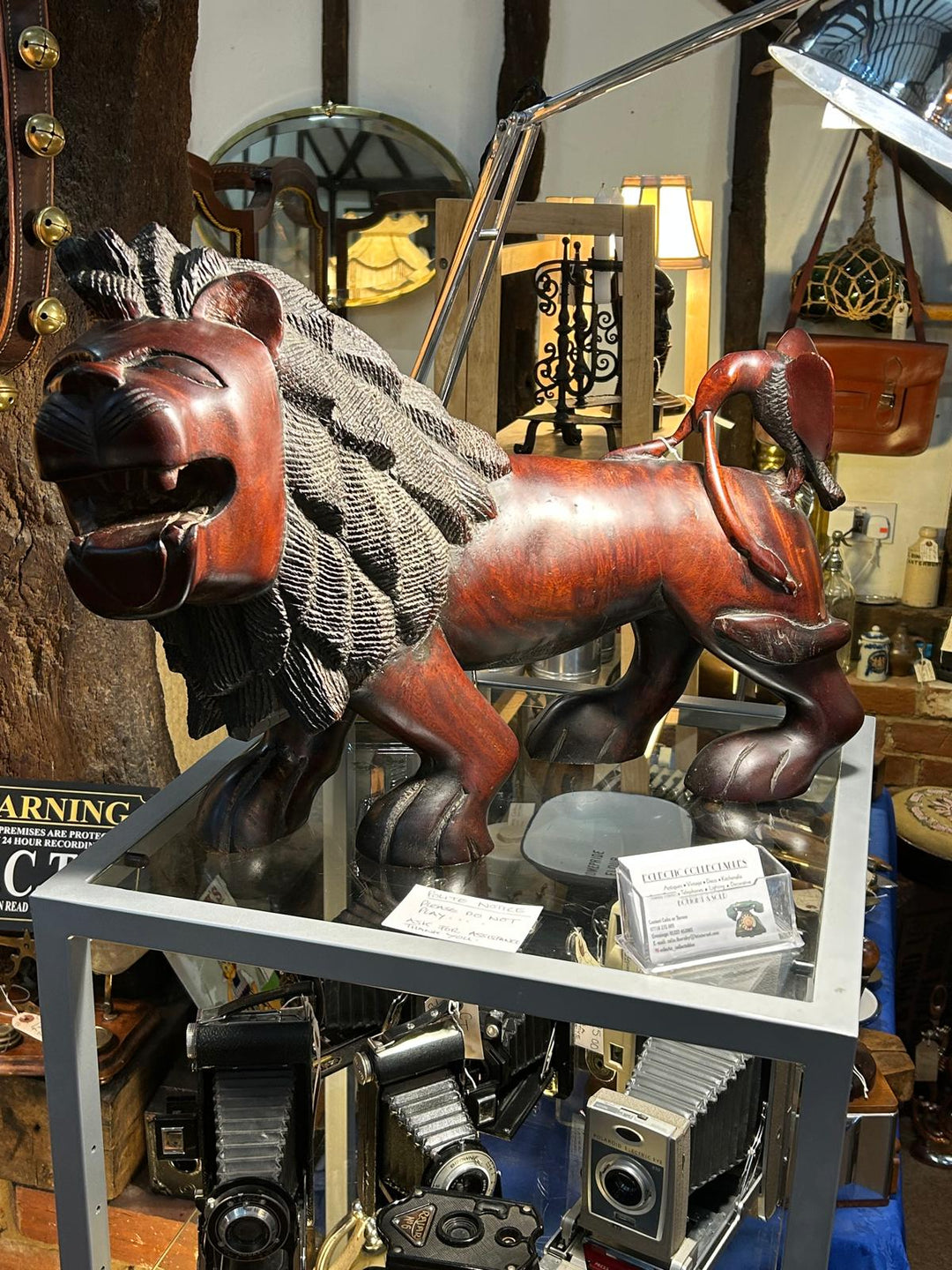 Foo Dog