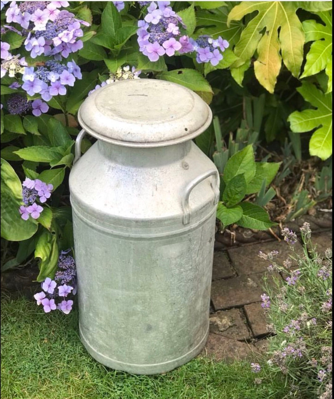 French Milk Churn. (n103)
