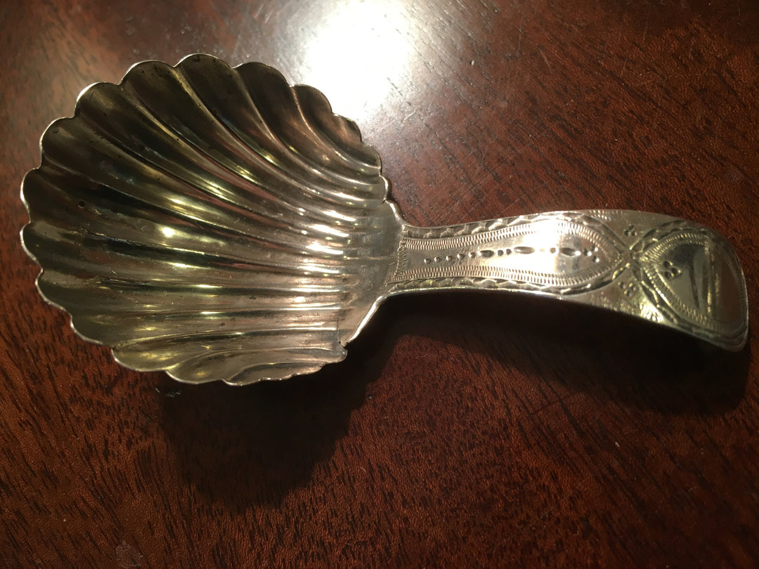 Georgian Tea Caddy Spoon