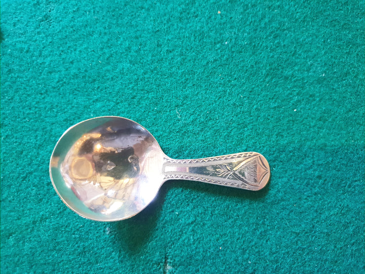 Silver Georgian Caddy Spoon