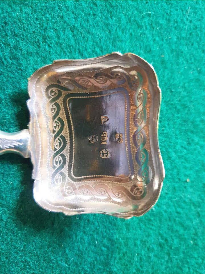 Silver Georgian Caddy Spoon