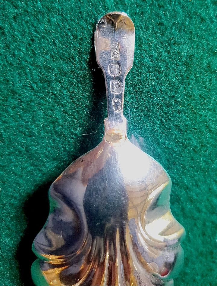 Silver Georgian Caddy Spoon