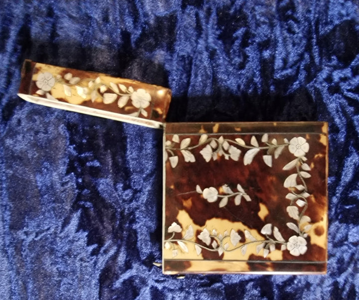 Victorian Tortoiseshell Card Case