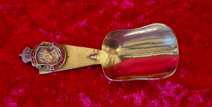 Brass George V Caddy Spoon
