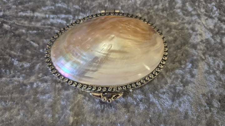 Vintage Shell Purse