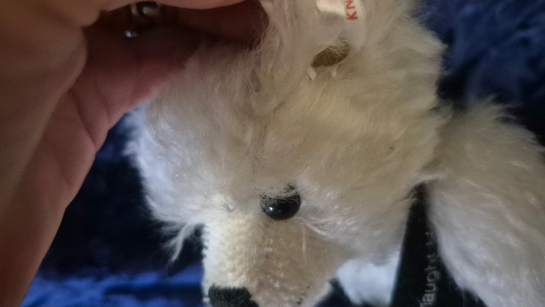Limited Edition Club Steiff Bear