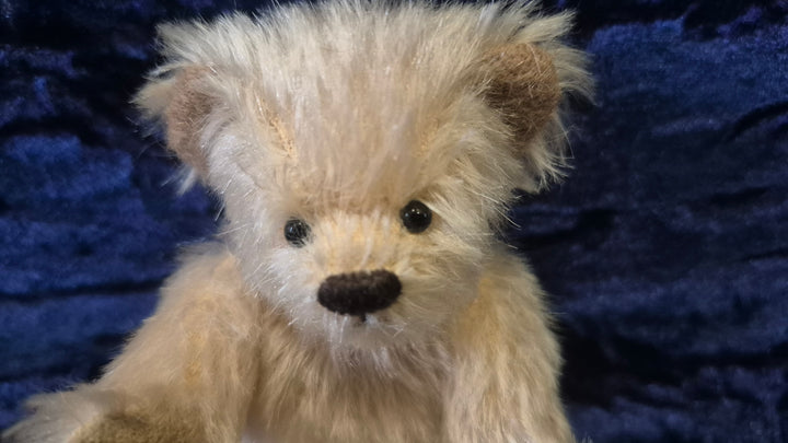 Limited Edition Hardy Bear