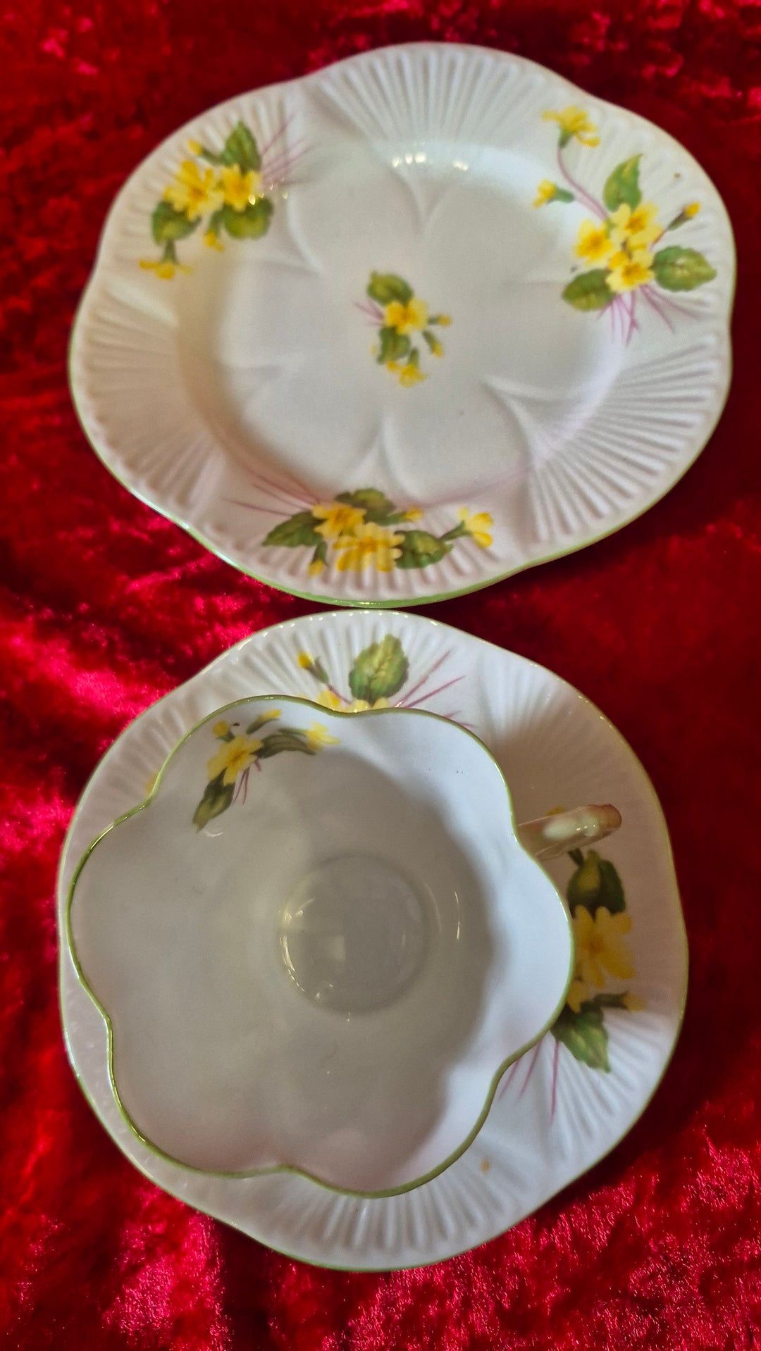 Shelley Primrose Trio