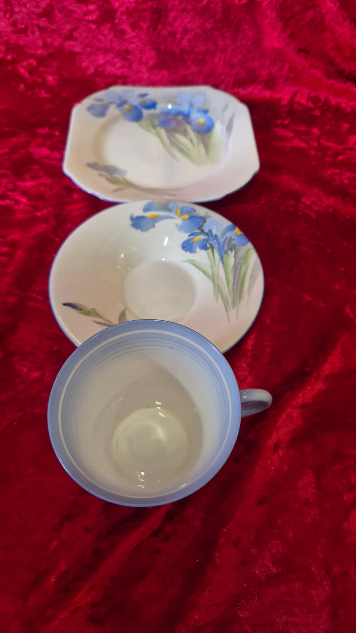 Shelley Blue Iris Trio