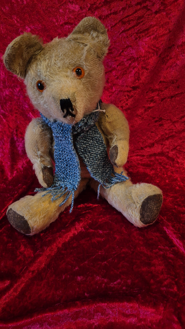 Lovely Old English Teddybear
