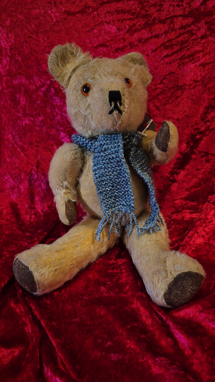 Lovely Old English Teddybear