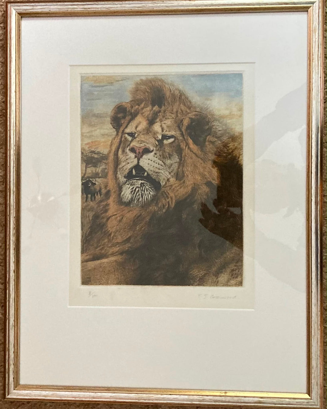 Limited Edition Etching By Timothy J Greenwood