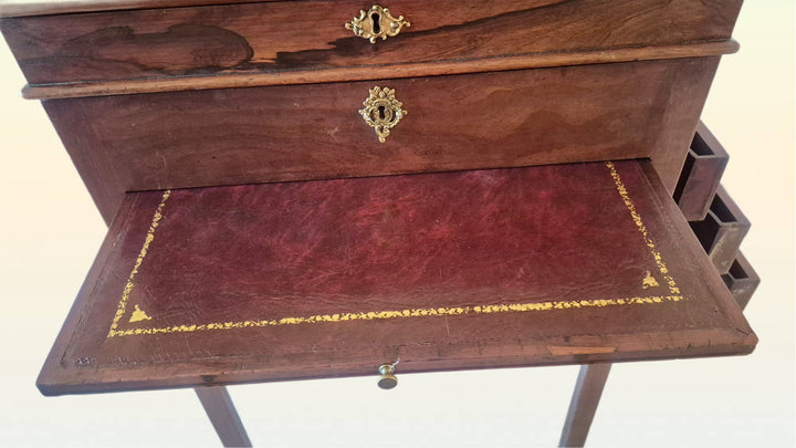 Unusual 19th Century Clerks Desk/Davenport