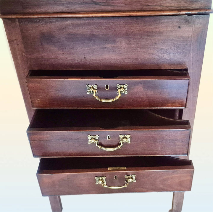 Unusual 19th Century Clerks Desk/Davenport