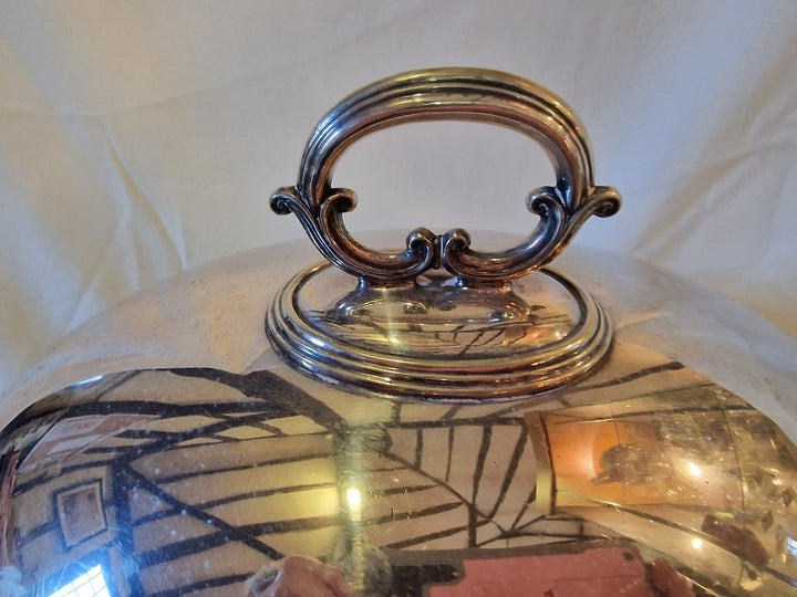 Silver Plated Cloche