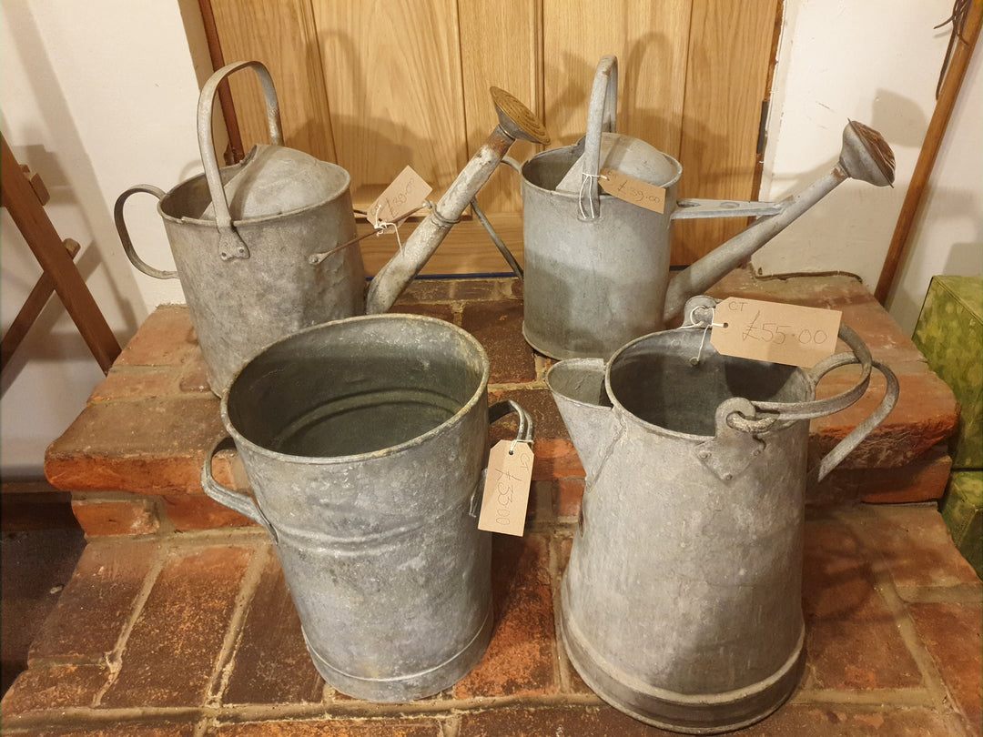 Vintage Galvanized Watering Cans And Containers