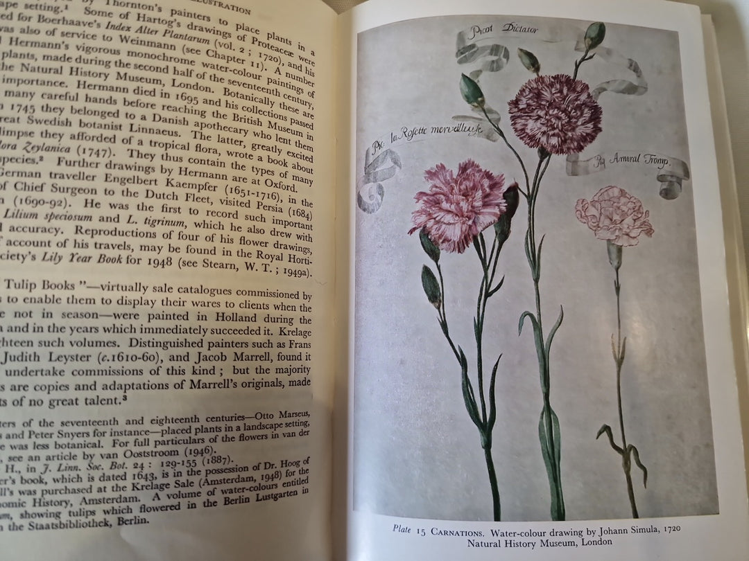 The Art Of Botanical Illustration