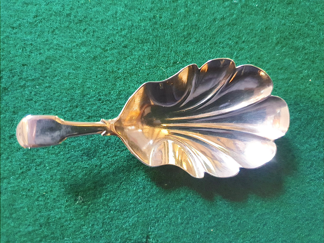 Silver Georgian Caddy Spoon