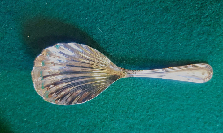 Silver Caddy Spoon