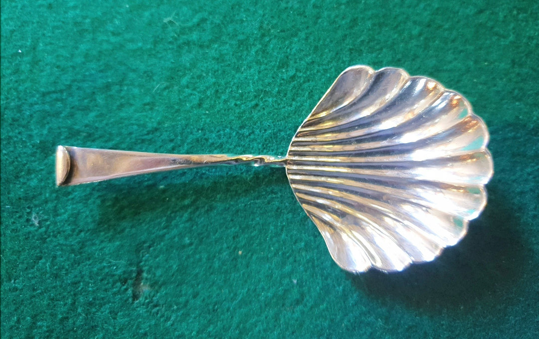 Edwardian Silver Caddy Spoon
