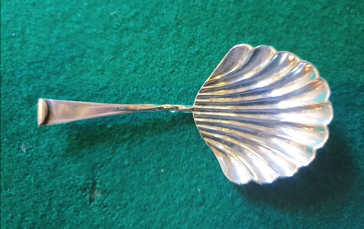 Edwardian Silver Caddy Spoon