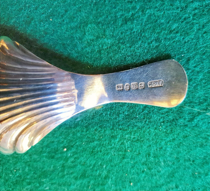 William 4th Silver Caddy Spoon