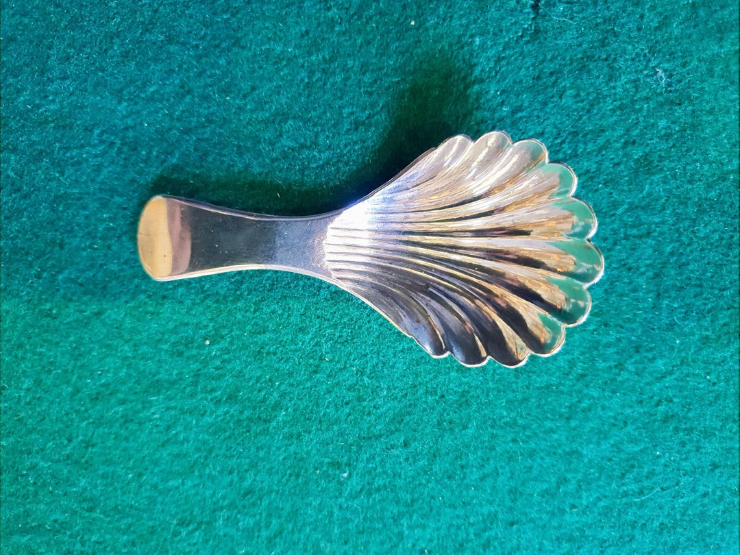 William 4th Silver Caddy Spoon