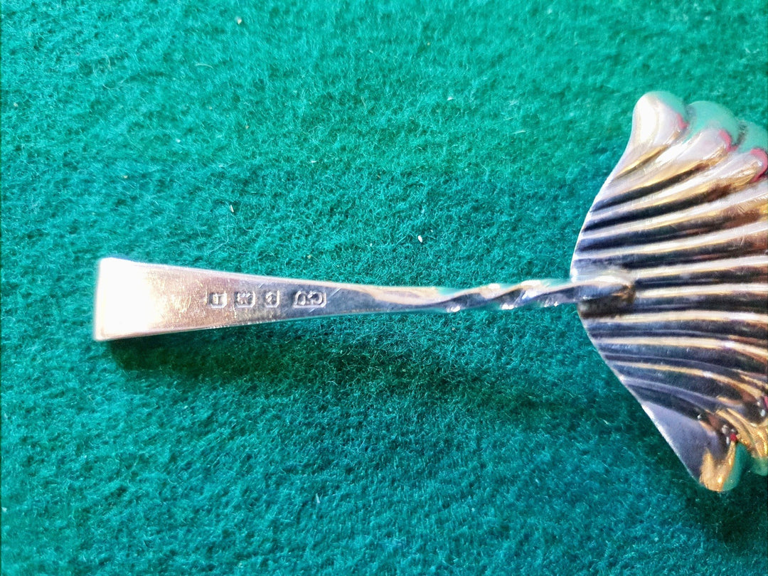 Edwardian Silver Caddy Spoon