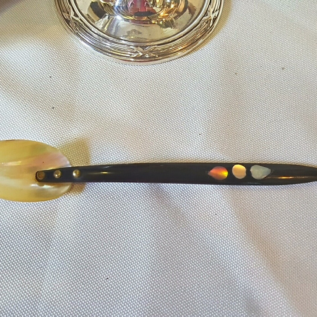 Ellington Caviar Dish And Spoon