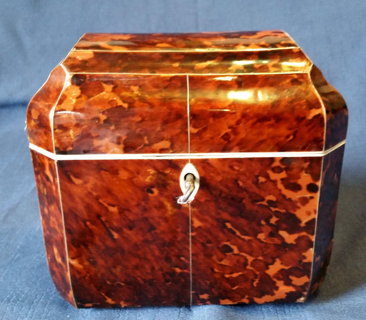 Tea Caddy